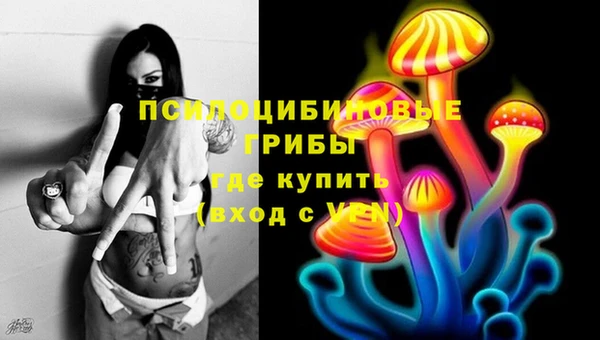 сатива Карталы
