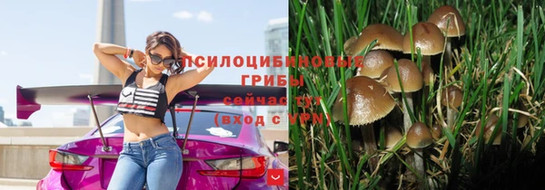 мет Алзамай